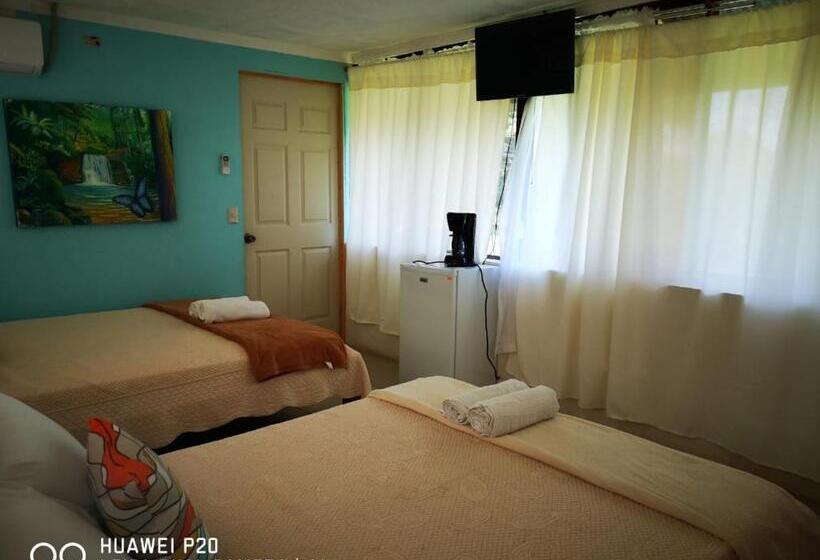 غرفه قياسيه سريرين مزدوجين, Hospedaje La Galerie