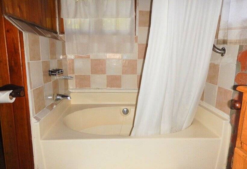 一居室别墅, Los Quetzales Ecolodge & Spa