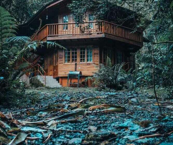 Хижина, Los Quetzales Ecolodge & Spa