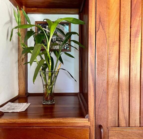 Четырехместный Номер Стандарт Вид на Сад, Los Quetzales Ecolodge & Spa