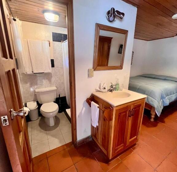 标准间带湖景, Los Quetzales Ecolodge & Spa