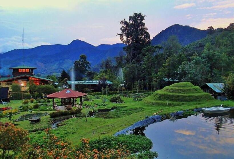 小型套房带阳台, Los Quetzales Ecolodge & Spa