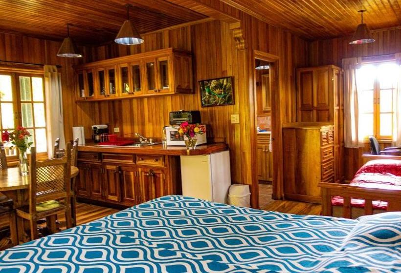 可看到停车场的标准间, Los Quetzales Ecolodge & Spa