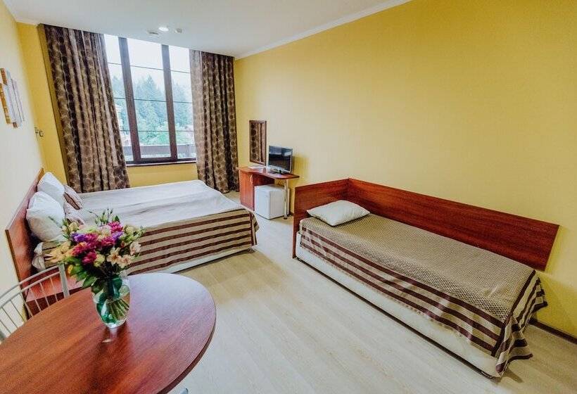 اتاق استاندارد, Bridge Mountain Krasnaya Polyana