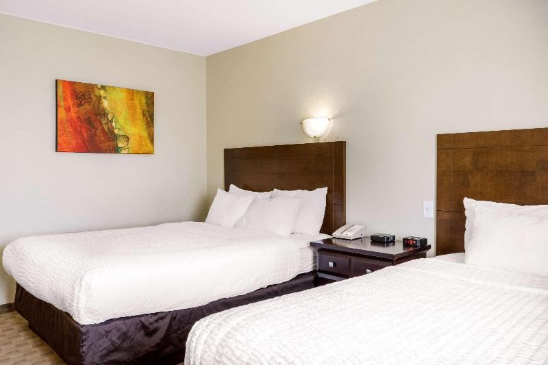 ２段ベッド付きスタンダードルーム, Vio