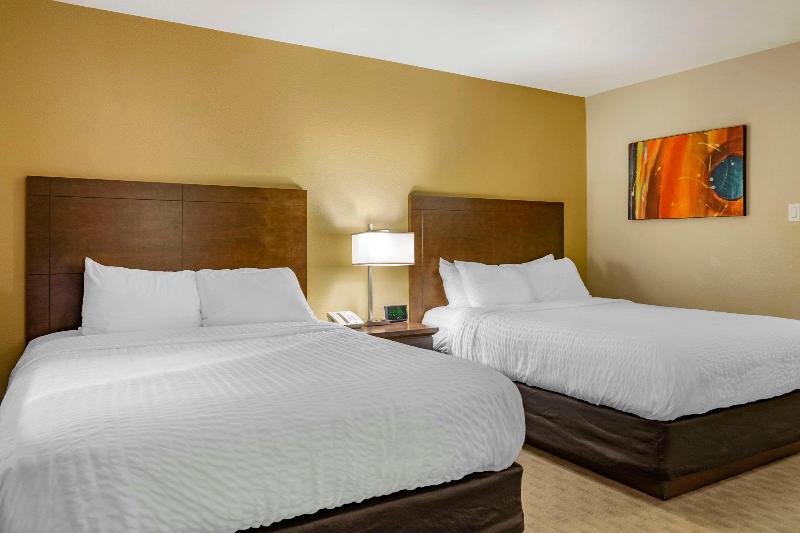 ２段ベッド付きスタンダードルーム, Vio