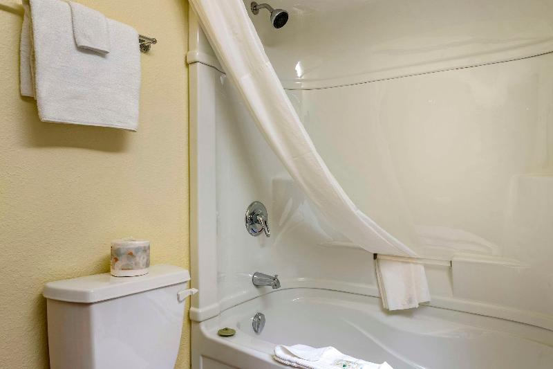 ２段ベッド付きスタンダードルーム, Vio