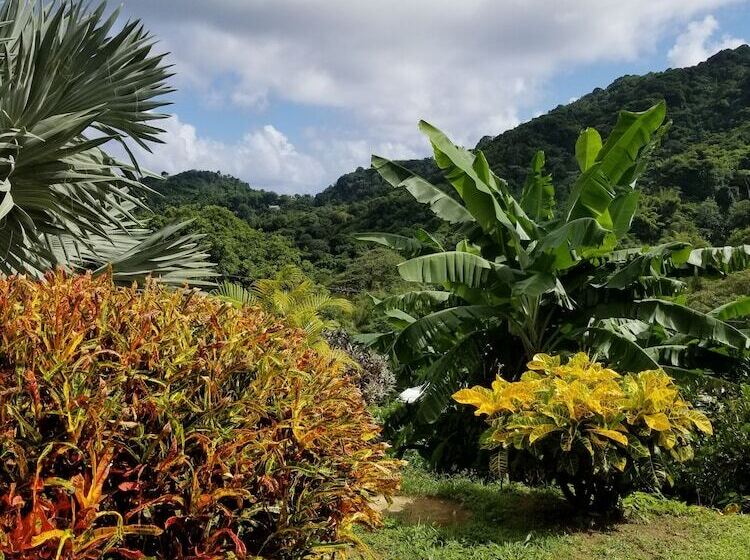 اتاق استاندارد, Top Ranking Hill View Guesthouse