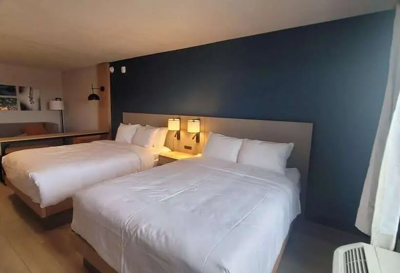 身障者適用スイートルーム, Comfort Suites Cheyenne