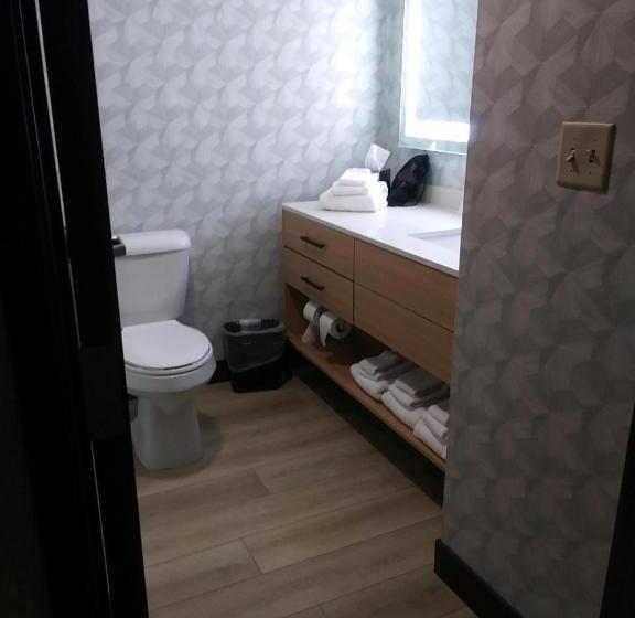 جناح لذوى الاحتياجات الخاصة, Comfort Suites Cheyenne