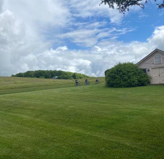 جناح ديلوكس سرير كينج, The Wildflower Inn