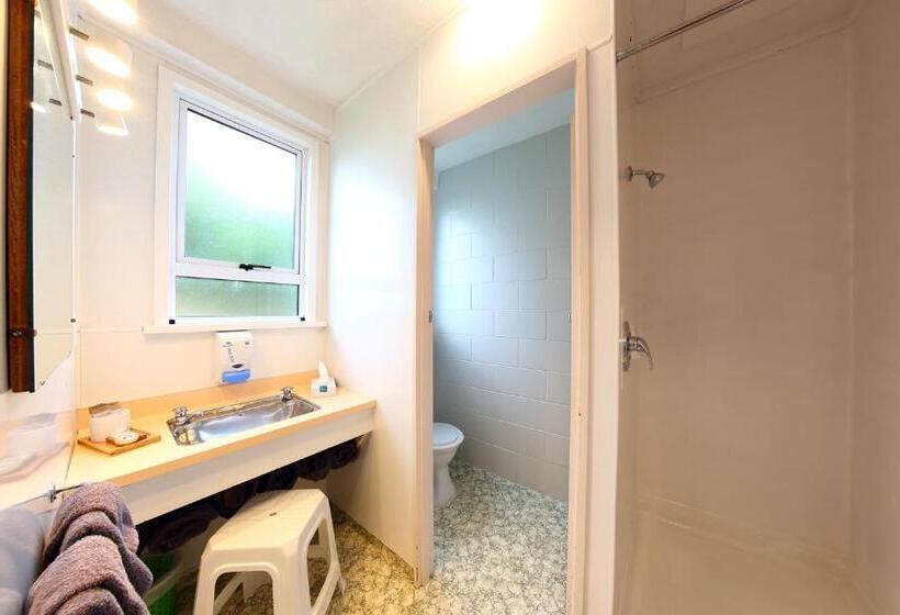 דירת חדר, 289 Midway Motel