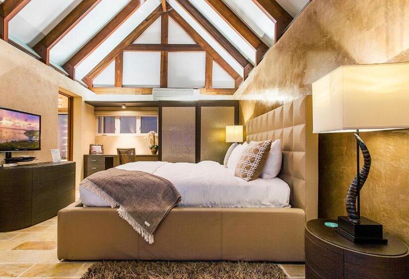 ویلا دلوکس 3 خوابه, Ceblue Villas