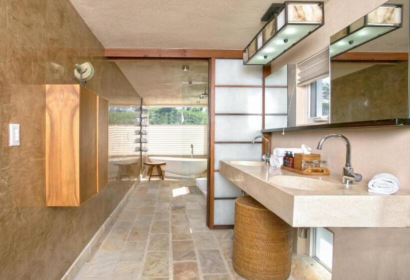 ویلای یک اتاق خوابه با استخر شنا, Ceblue Villas