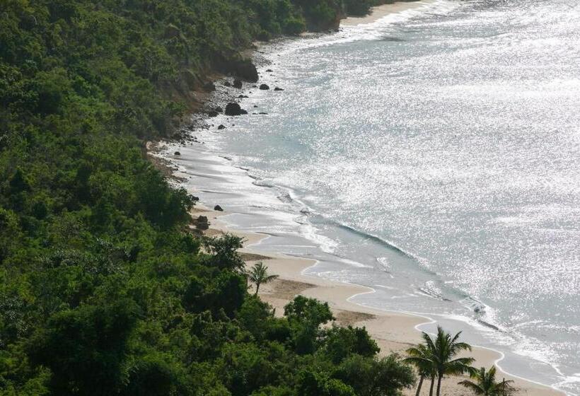 ویلای یک اتاق خوابه با استخر شنا, Ceblue Villas