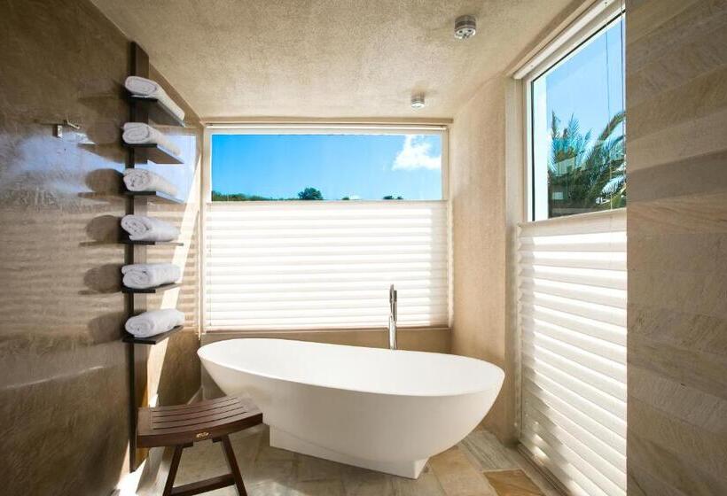 ویلای یک اتاق خوابه با استخر شنا, Ceblue Villas