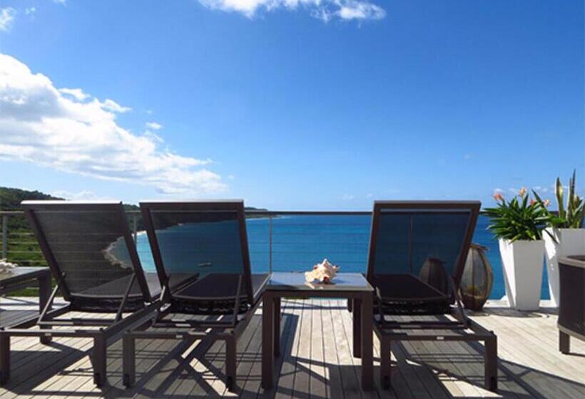 ویلا دلوکس 3 خوابه, Ceblue Villas