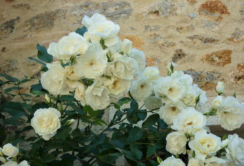 شقة غرفة واحدة, Fattoria Agriturismo Nerbona