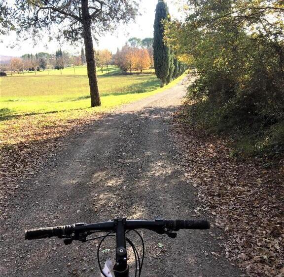 شقة غرفة واحدة, Fattoria Agriturismo Nerbona