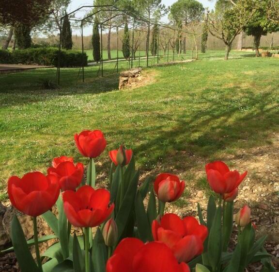 شقة غرفة واحدة, Fattoria Agriturismo Nerbona