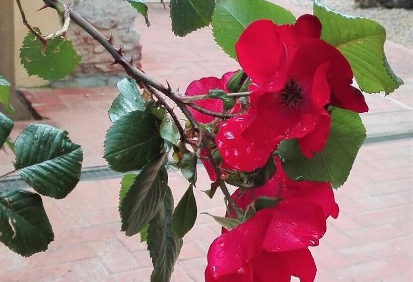 침실 3개 아파트, Fattoria Agriturismo Nerbona