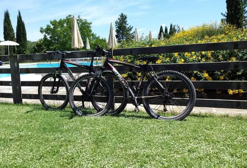 スタンダードルーム, Fattoria Agriturismo Nerbona
