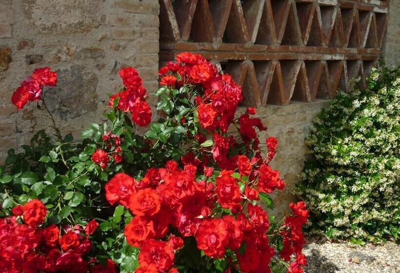 شقة غرفة واحدة, Fattoria Agriturismo Nerbona