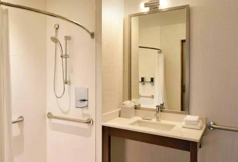 اتاق استاندارد با تخت بزرگ, Four Points By Sheraton Coral Gables