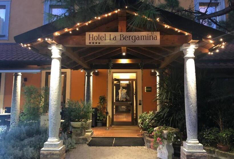 اتاق سوپریور یک تخته, La Bergamina Hotel & Restaurant