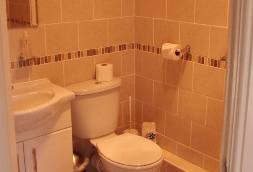 스탠다드 싱글 룸, The Golden Lion