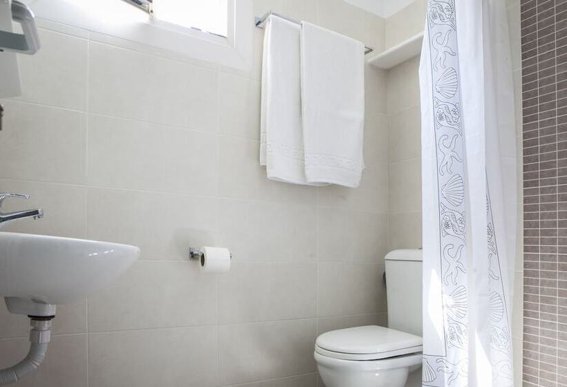 Номер Стандарт, Asteri