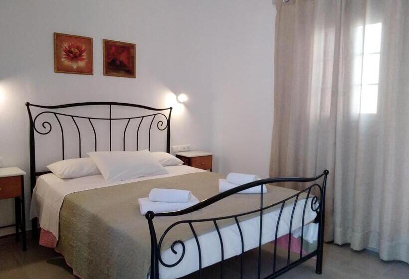 Номер Стандарт, Asteri