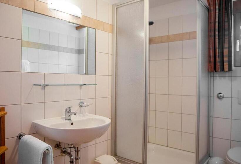 Апартаменты 2 Спальни, Landal Hochmontafon