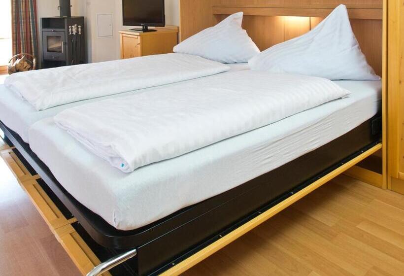 شقة غرفتين, Landal Hochmontafon