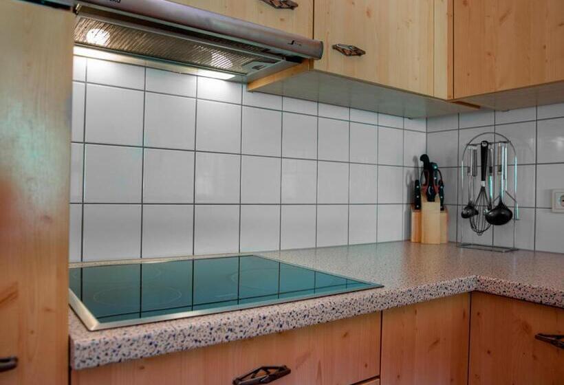 شقة غرفتين, Landal Hochmontafon