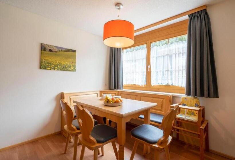 شقة كومفورت غرفتين نوم, Landal Hochmontafon