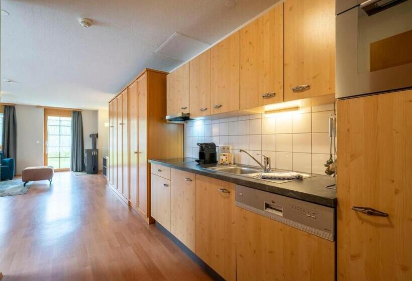 شقة كومفورت غرفتين نوم, Landal Hochmontafon