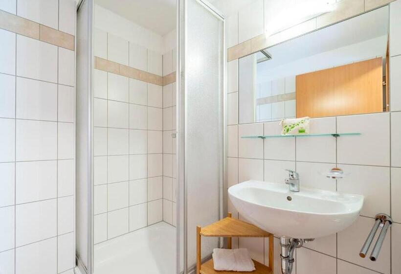 Апартаменты 3 Спальни, Landal Hochmontafon