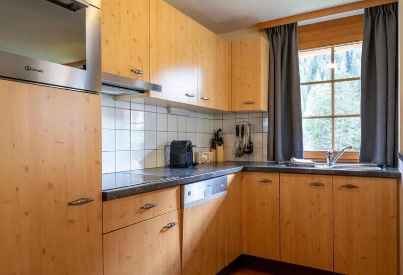 شقة 3 غرف, Landal Hochmontafon