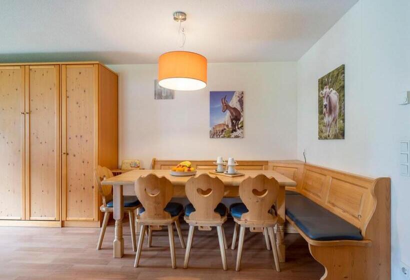 Апартаменты 3 Спальни, Landal Hochmontafon