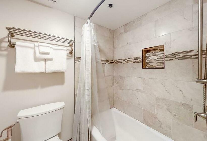 Апартаменты 2 Спальни, Park Station Condominiums 234