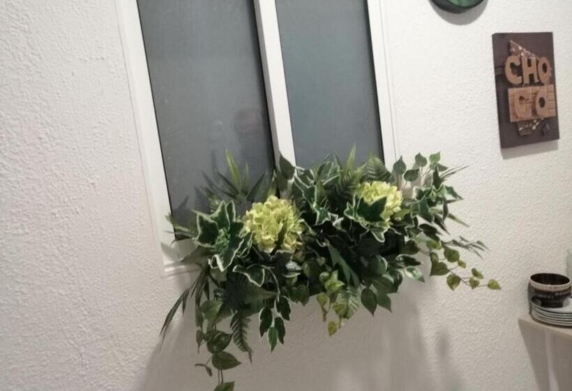 اتاق کلاسیک چهارنفره, La Marina