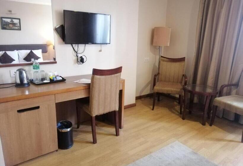 اتاق لوکس با چشم‌انداز شهر, Mirage Regency