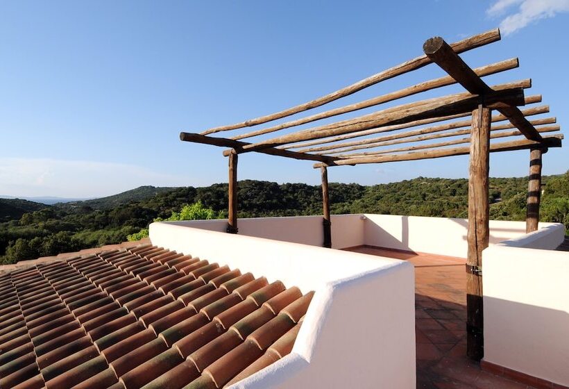庭の見える１ベッドルームアパートメント, Vallemare Residence E Studios