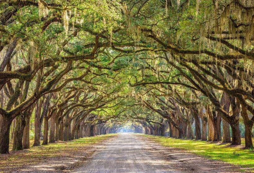 Talo 1 Makuuhuone, Blair Street Cottage