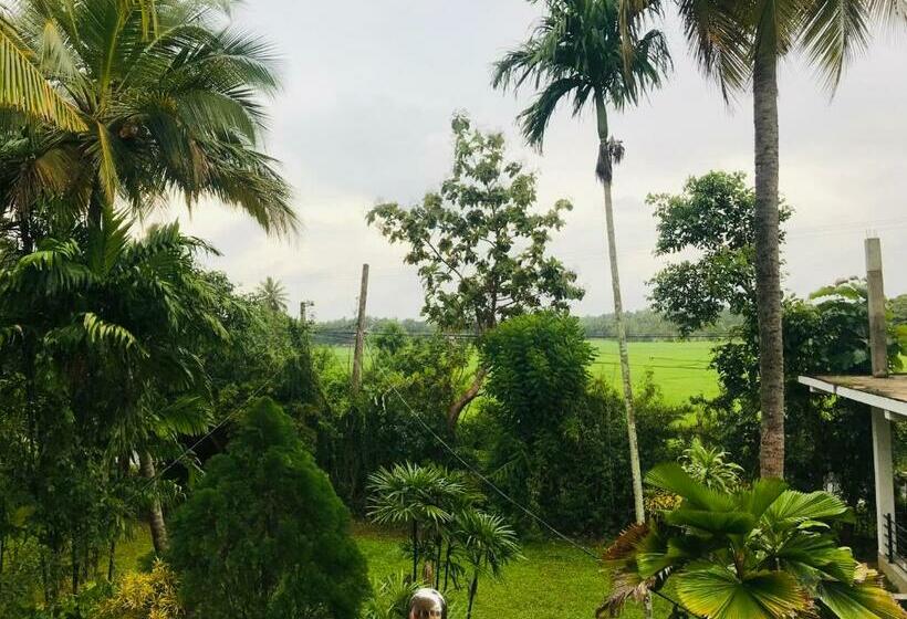 Семейный Номер, Green Parrot Family Resort