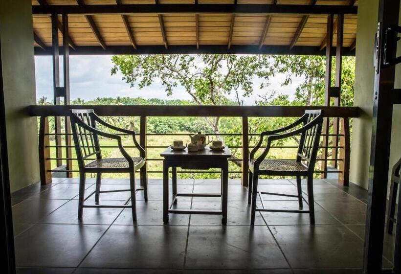 חדר דלוקס לשלושה, Earls Rajarata