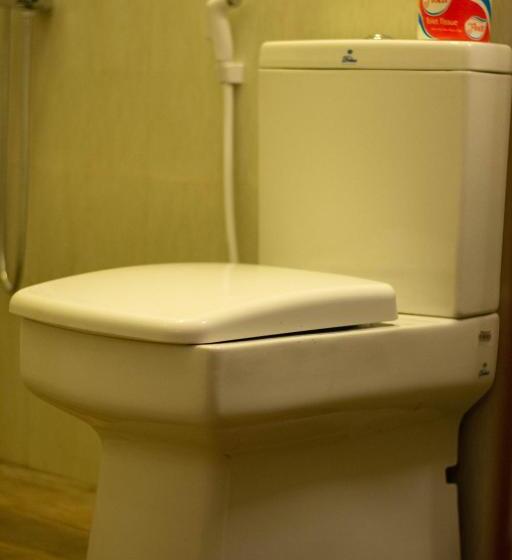 Apartament 2 Dormitoris, 98 Home Lodge Dambulla