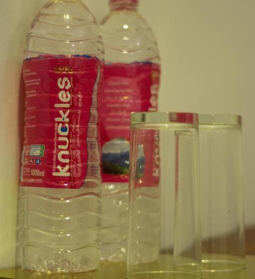 Habitació Deluxe Llit King, 98 Home Lodge Dambulla