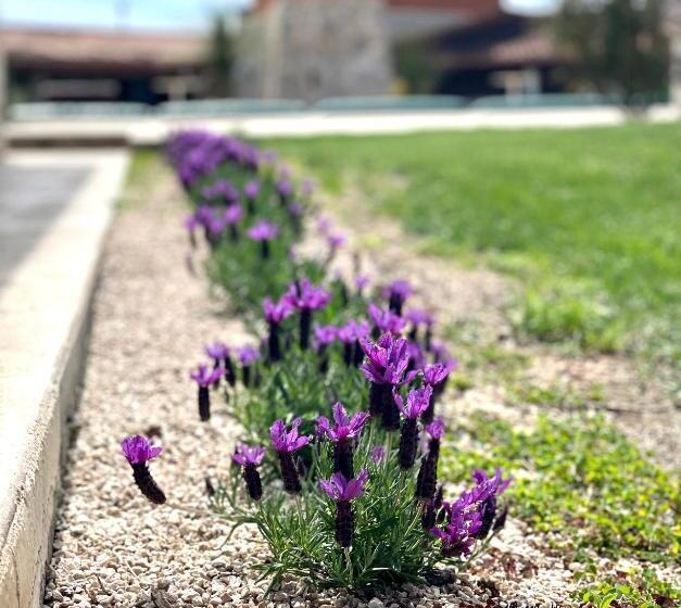 חדר דלוקס, Egò Salento